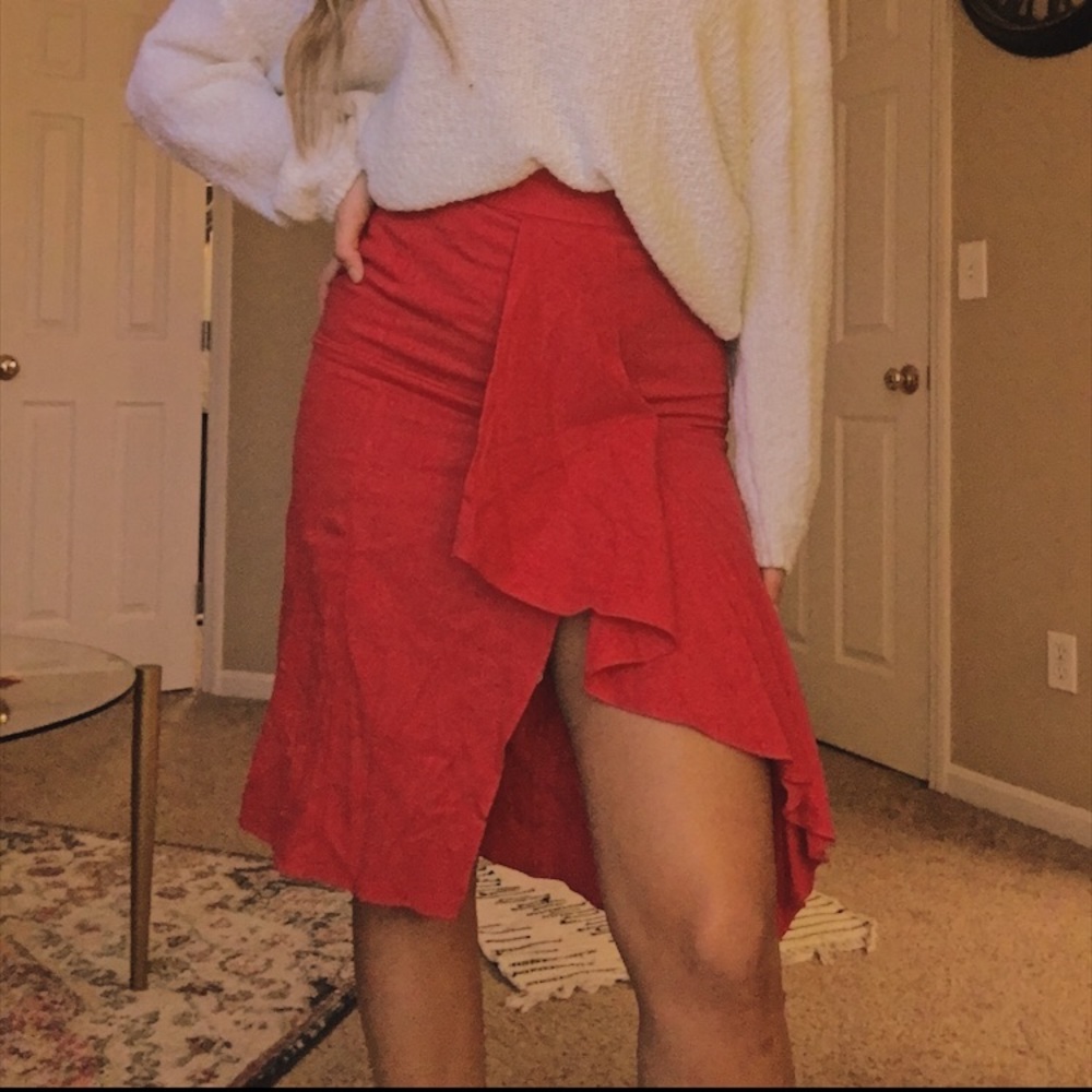 Zara Skirt